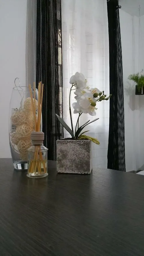 Apartment Galliera Street Bologna
